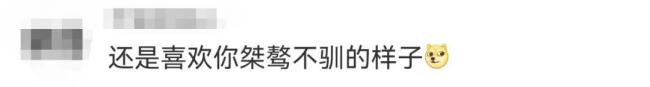 低空经济：钟薛高成“老赖”！累计被执行金额超2800万元！网友：看来红薯不好卖啊